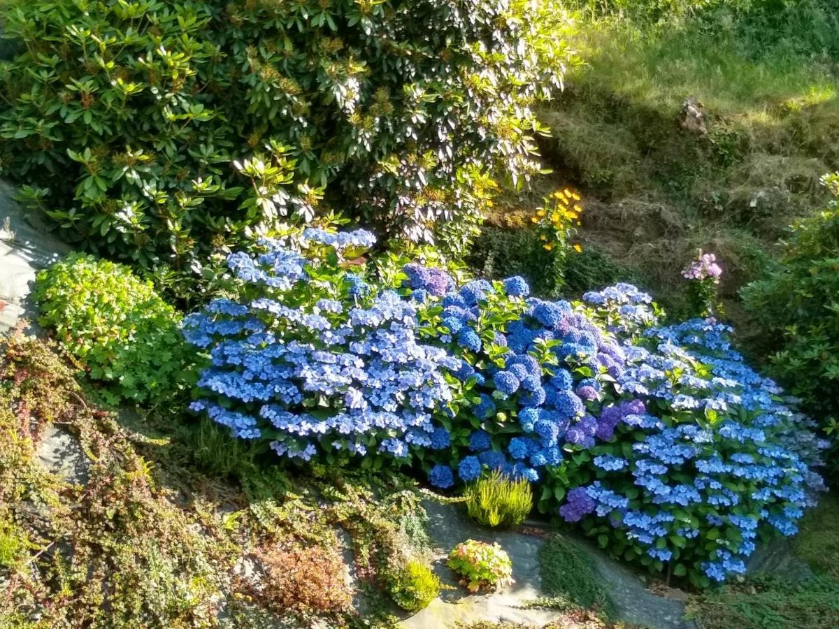 Les Hortensias La Poultiere Eksteriør billede
